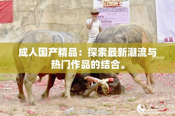 成人国产精品：探索最新潮流与热门作品的结合。