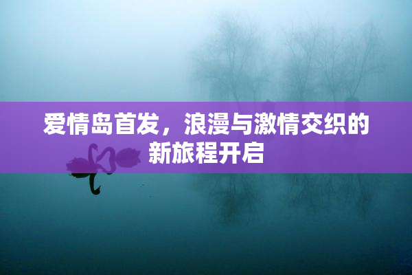 爱情岛首发，浪漫与激情交织的新旅程开启