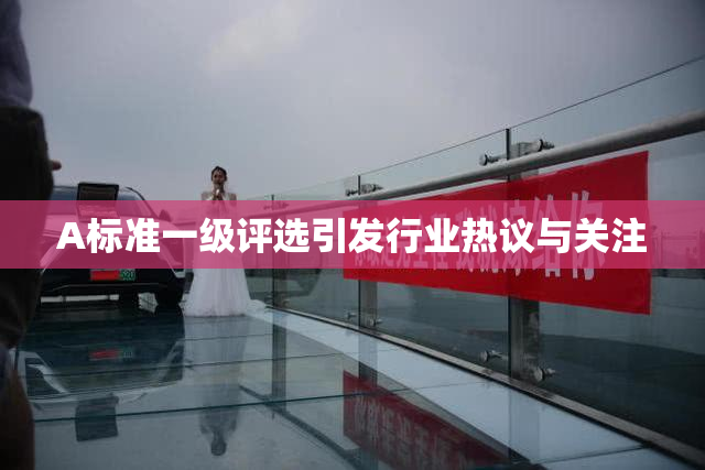 A标准一级评选引发行业热议与关注