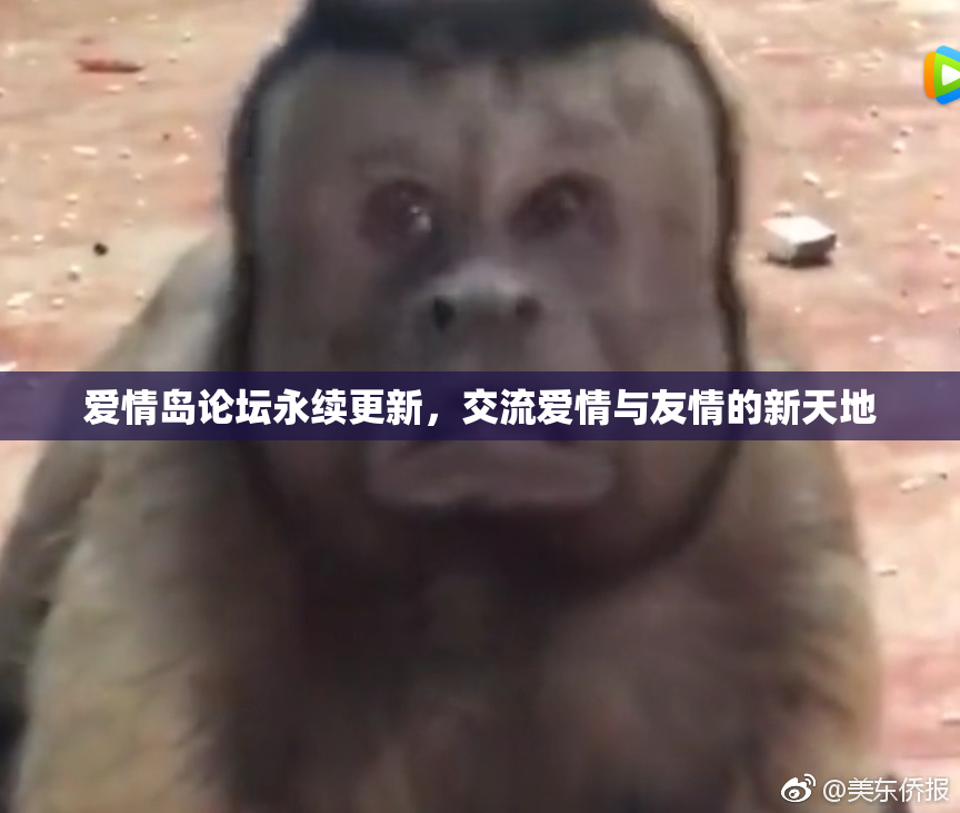 爱情岛论坛永续更新，交流爱情与友情的新天地