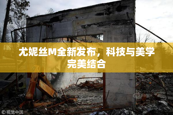 尤妮丝M全新发布，科技与美学完美结合