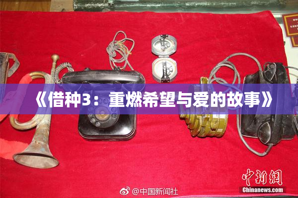 《借种3：重燃希望与爱的故事》