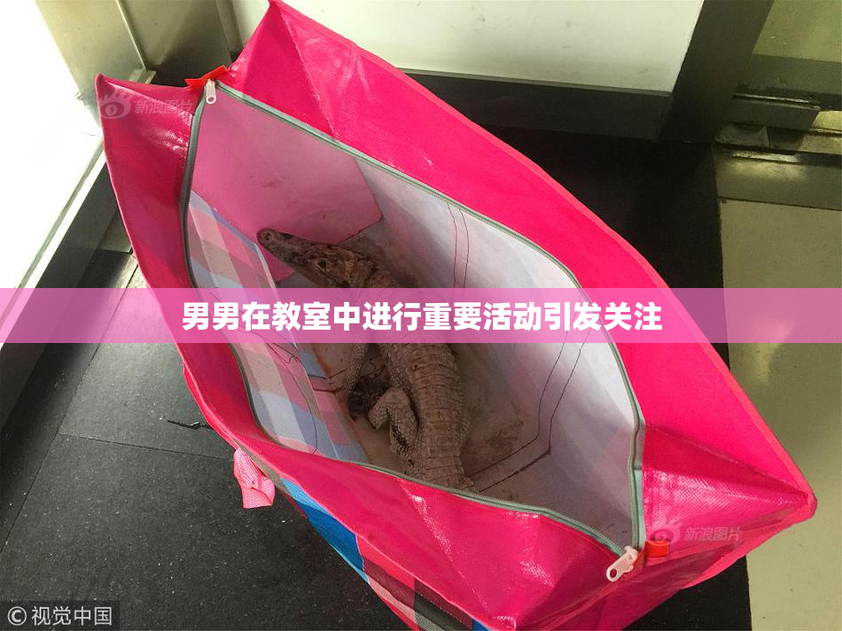 男男在教室中进行重要活动引发关注