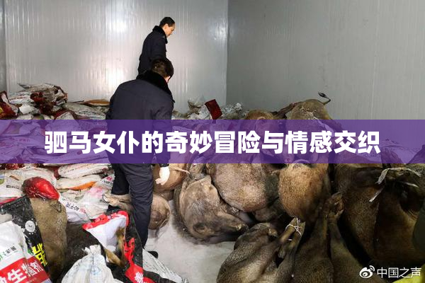 驷马女仆的奇妙冒险与情感交织
