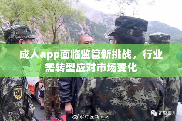 成人app面临监管新挑战，行业需转型应对市场变化