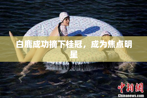 白鹿成功摘下桂冠，成为焦点明星