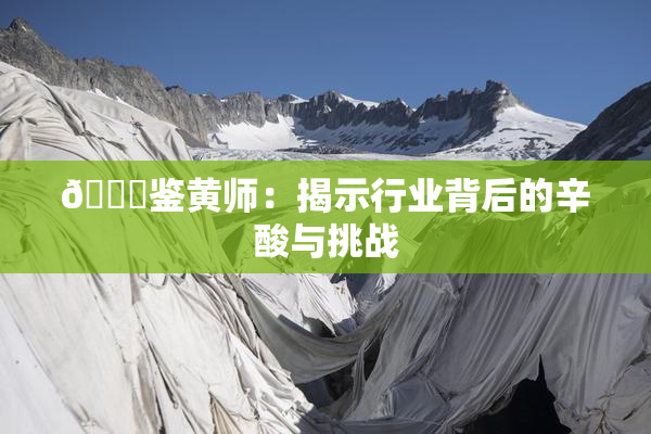 🔞鉴黄师：揭示行业背后的辛酸与挑战