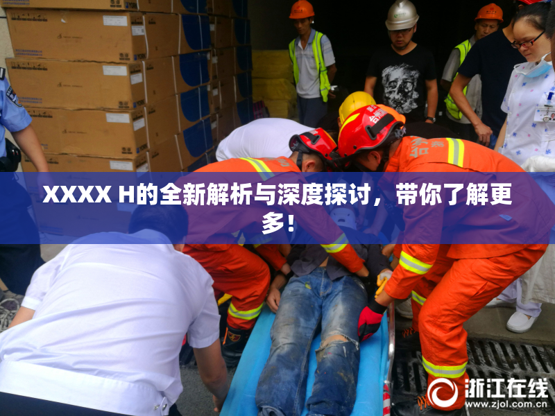 XXXX H的全新解析与深度探讨，带你了解更多！