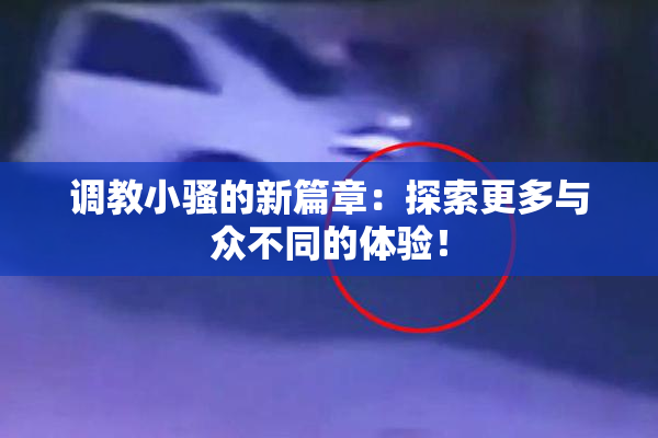 调教小骚的新篇章：探索更多与众不同的体验！