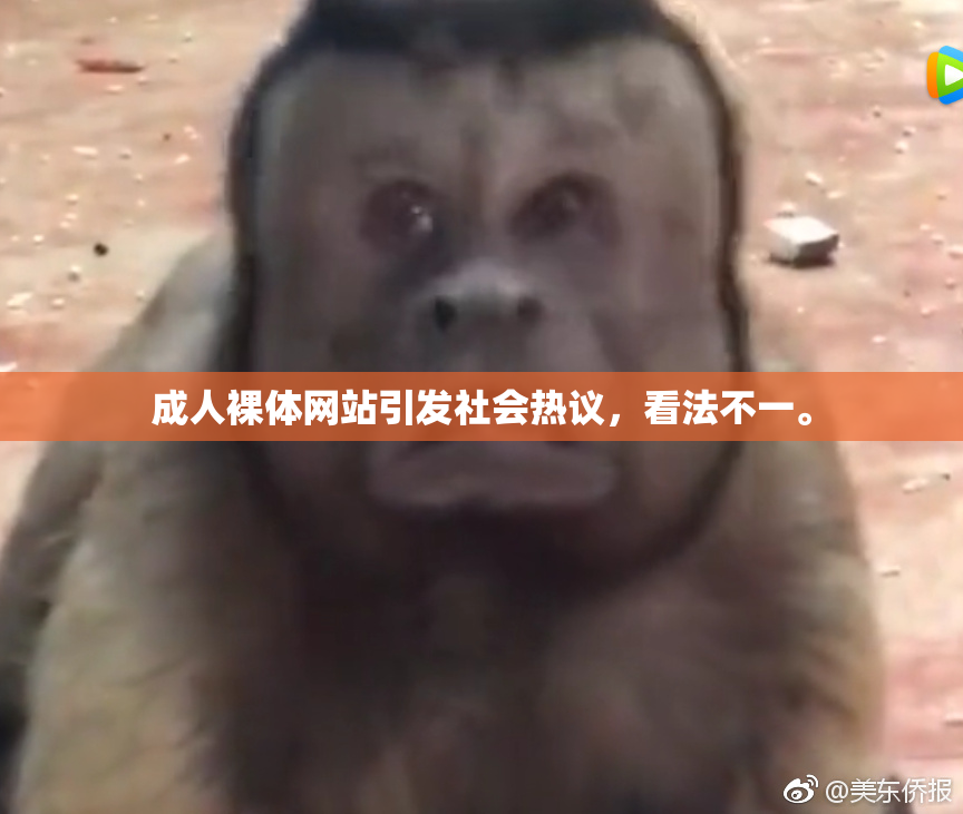 成人裸体网站引发社会热议，看法不一。