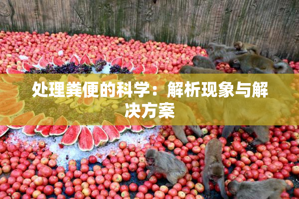 处理粪便的科学：解析现象与解决方案