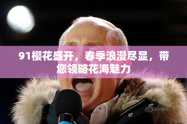 91樱花盛开，春季浪漫尽显，带您领略花海魅力