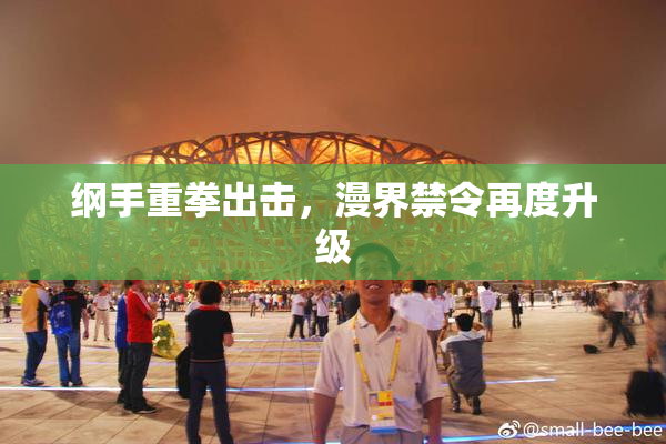 纲手重拳出击，漫界禁令再度升级