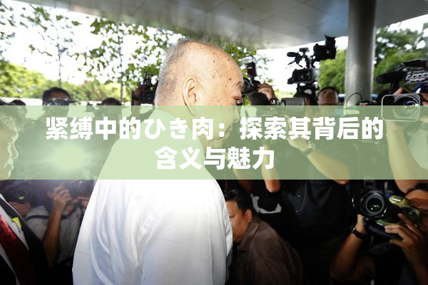 紧缚中的ひき肉：探索其背后的含义与魅力