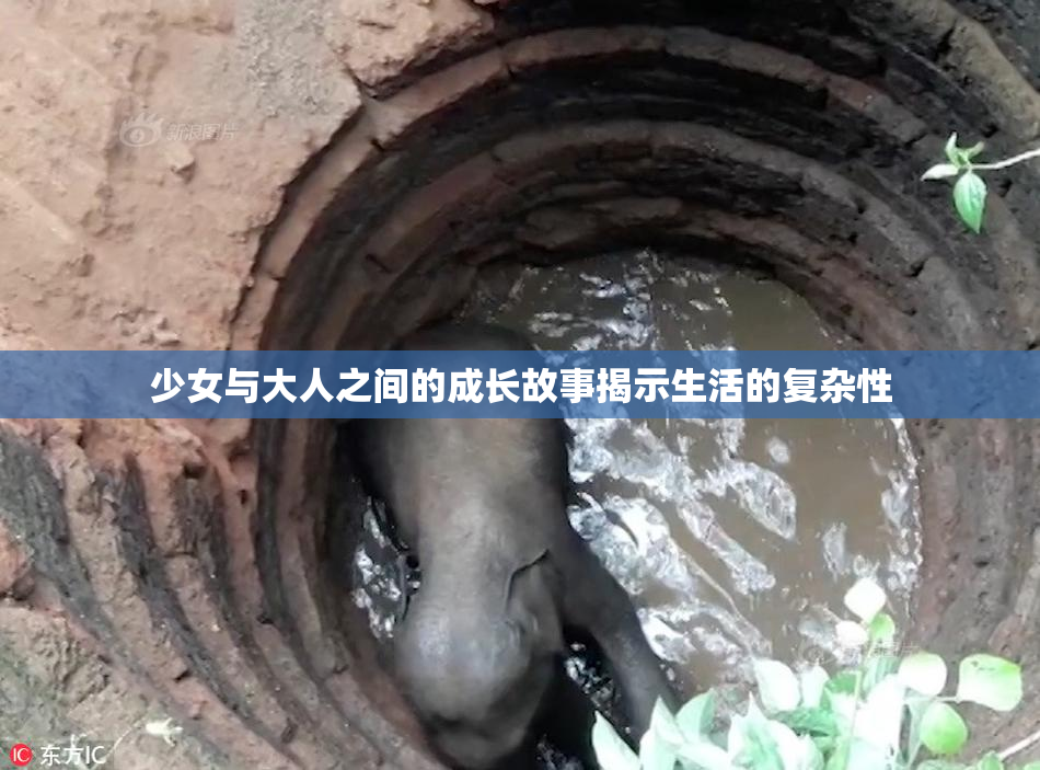 少女与大人之间的成长故事揭示生活的复杂性