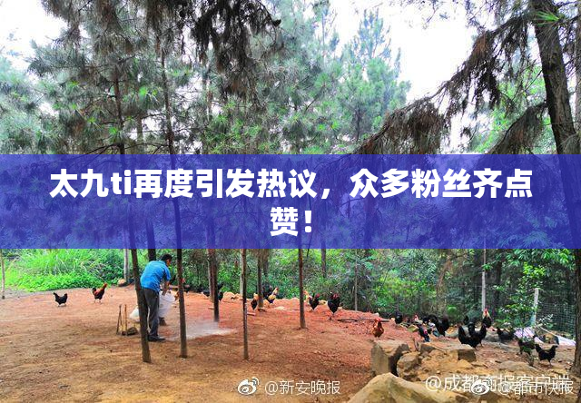 太九ti再度引发热议，众多粉丝齐点赞！