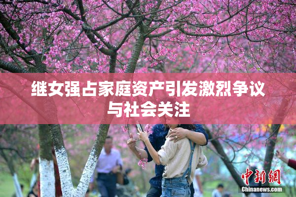 继女强占家庭资产引发激烈争议与社会关注