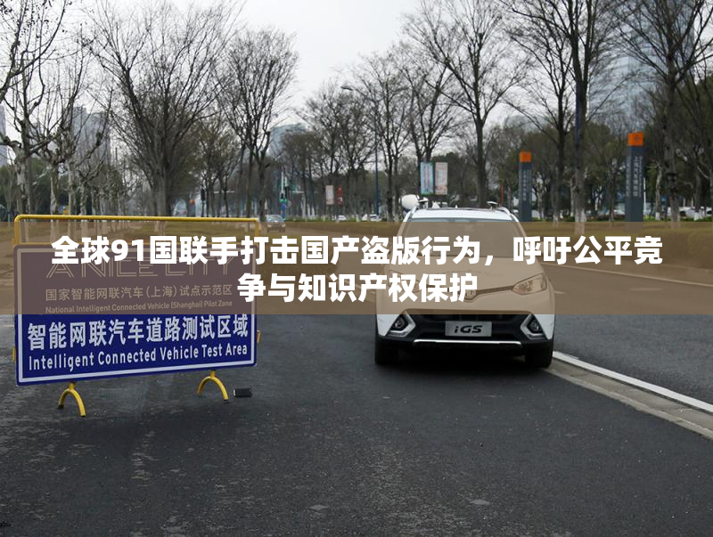 全球91国联手打击国产盗版行为，呼吁公平竞争与知识产权保护