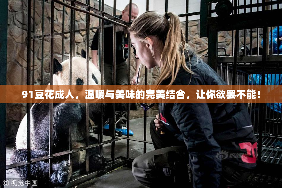 91豆花成人，温暖与美味的完美结合，让你欲罢不能！