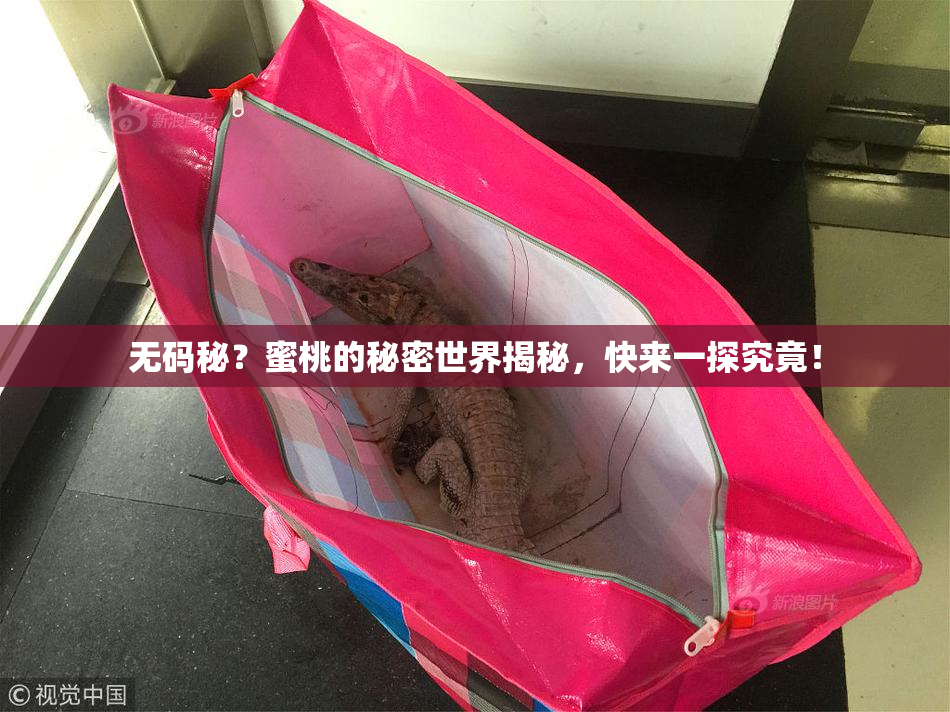 无码秘？蜜桃的秘密世界揭秘，快来一探究竟！