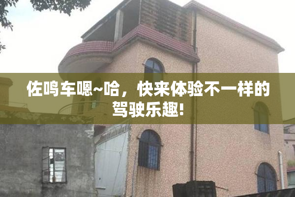 佐鸣车嗯~哈，快来体验不一样的驾驶乐趣!