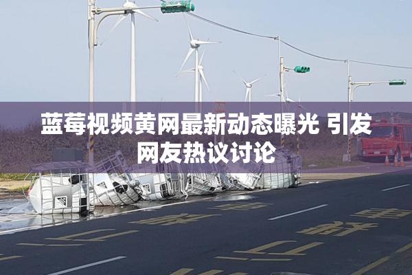 蓝莓视频黄网最新动态曝光 引发网友热议讨论
