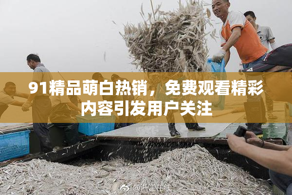 91精品萌白热销，免费观看精彩内容引发用户关注