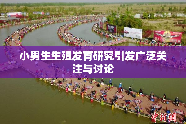 小男生生殖发育研究引发广泛关注与讨论