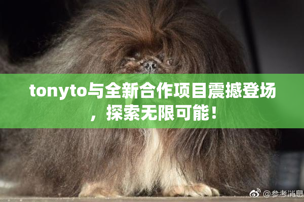 tonyto与全新合作项目震撼登场，探索无限可能！