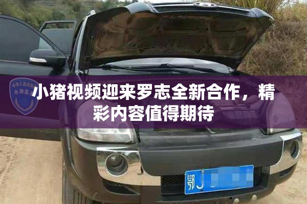 小猪视频迎来罗志全新合作，精彩内容值得期待