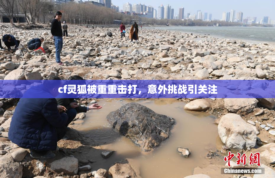 cf灵狐被重重击打，意外挑战引关注