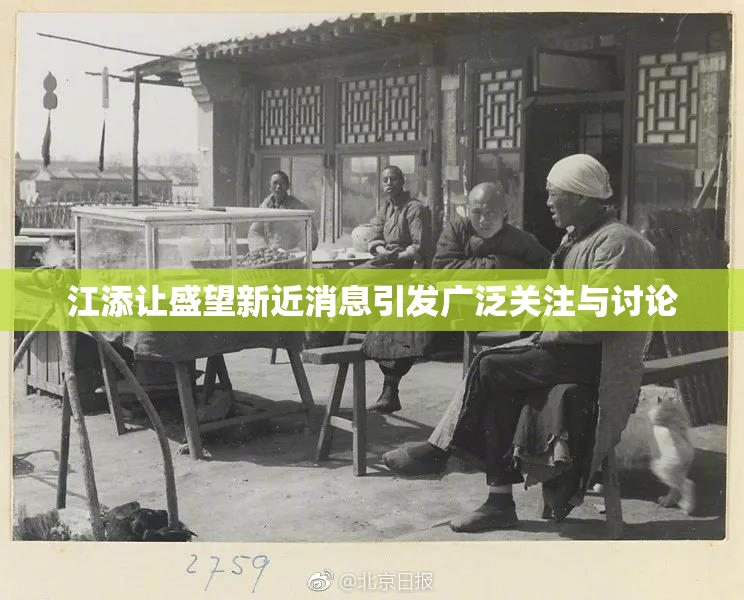 江添让盛望新近消息引发广泛关注与讨论