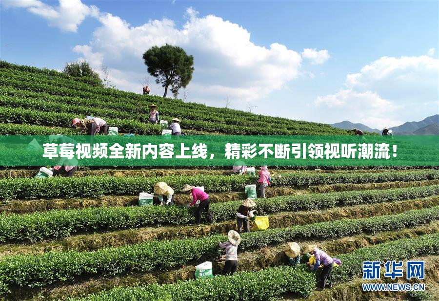 草莓视频全新内容上线，精彩不断引领视听潮流！