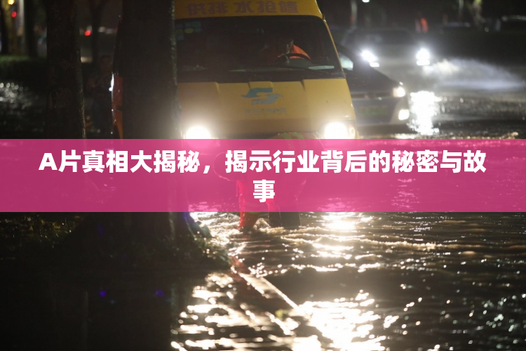 A片真相大揭秘，揭示行业背后的秘密与故事