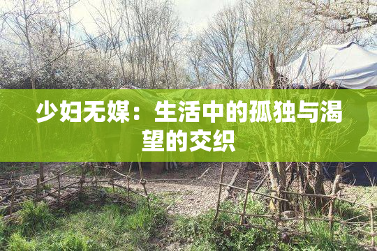 少妇无媒：生活中的孤独与渴望的交织