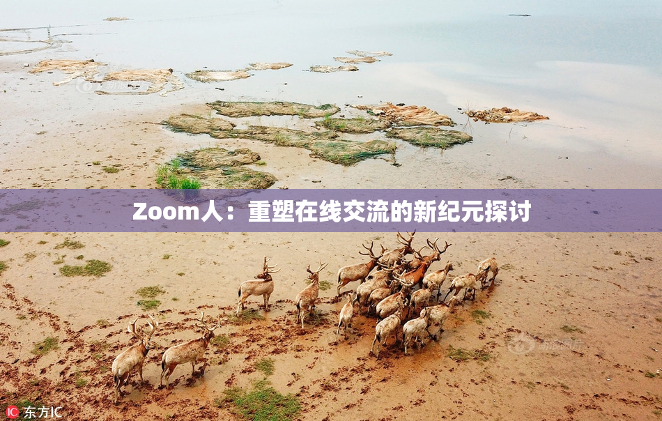 Zoom人：重塑在线交流的新纪元探讨