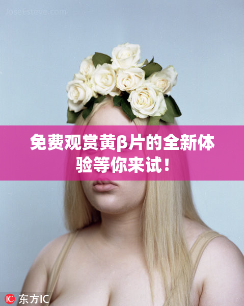免费观赏黄β片的全新体验等你来试！