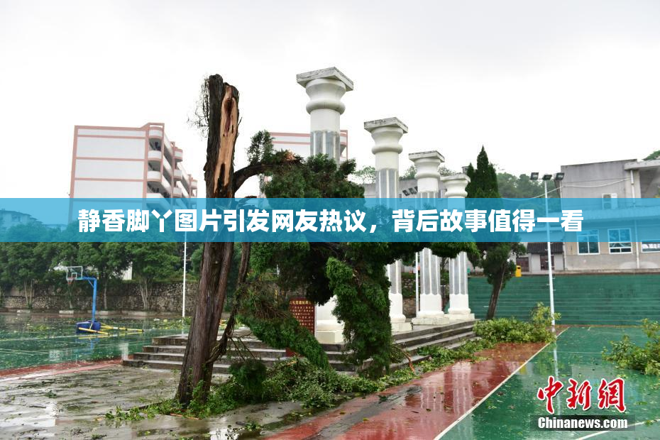 静香脚丫图片引发网友热议，背后故事值得一看