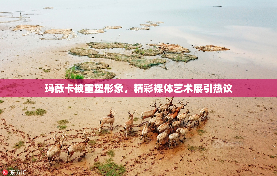 玛薇卡被重塑形象，精彩裸体艺术展引热议