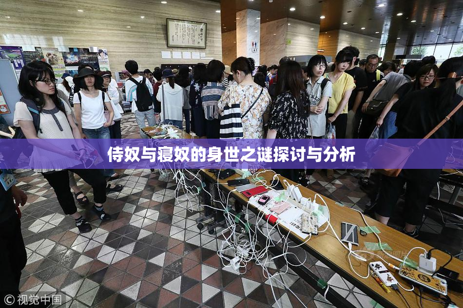 侍奴与寝奴的身世之谜探讨与分析