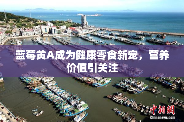 蓝莓黄A成为健康零食新宠，营养价值引关注