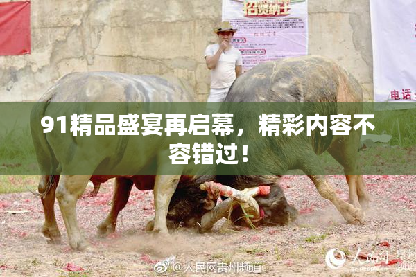 91精品盛宴再启幕，精彩内容不容错过！