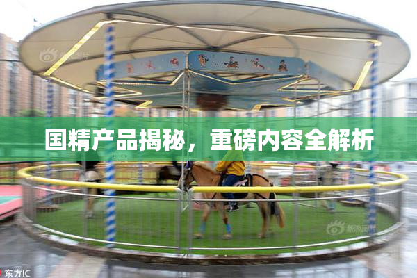 国精产品揭秘，重磅内容全解析