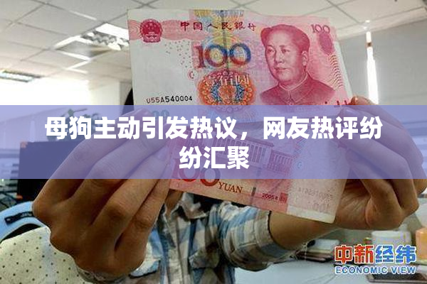 母狗主动引发热议，网友热评纷纷汇聚
