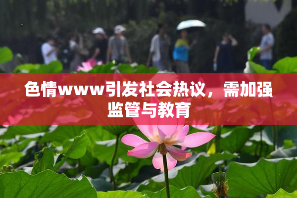 色情www引发社会热议，需加强监管与教育