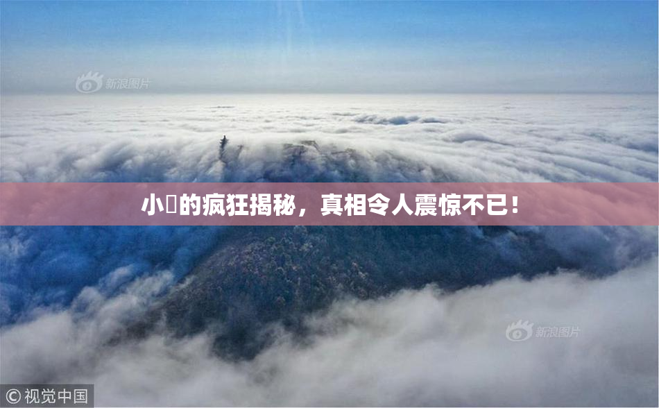 小泬的疯狂揭秘，真相令人震惊不已！