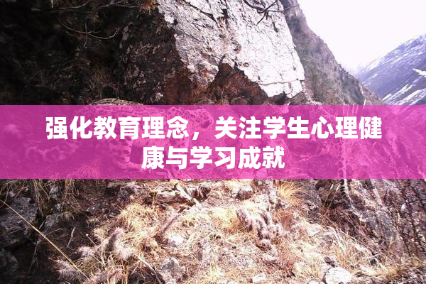 强化教育理念，关注学生心理健康与学习成就