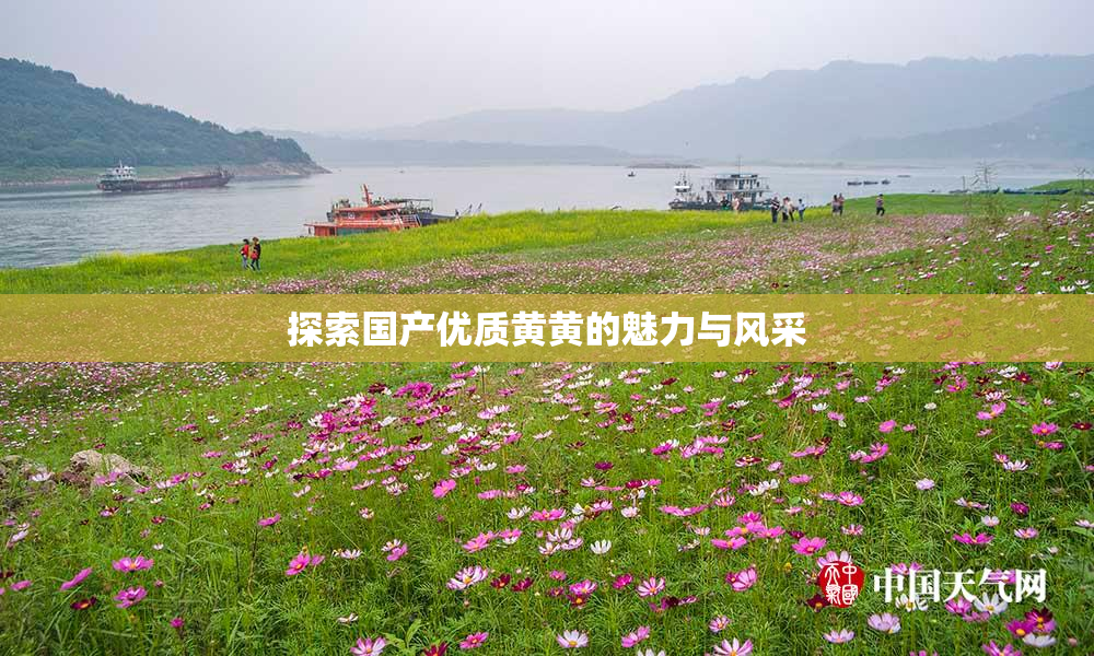 探索国产优质黄黄的魅力与风采