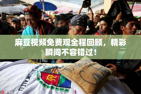麻豆视频免费观全程回顾，精彩瞬间不容错过！