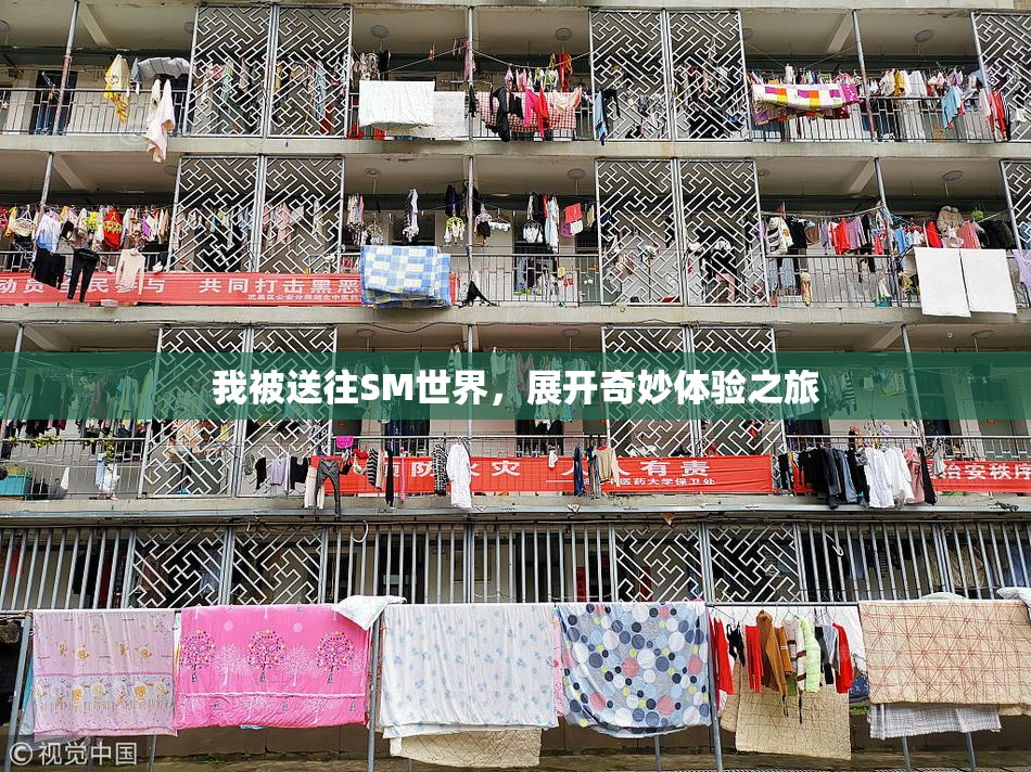 我被送往SM世界，展开奇妙体验之旅